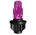 Zap (Z) — Rose/Noir — BXG-61