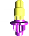 Low Flat (LF) — Jaune/Violet — BXC-15